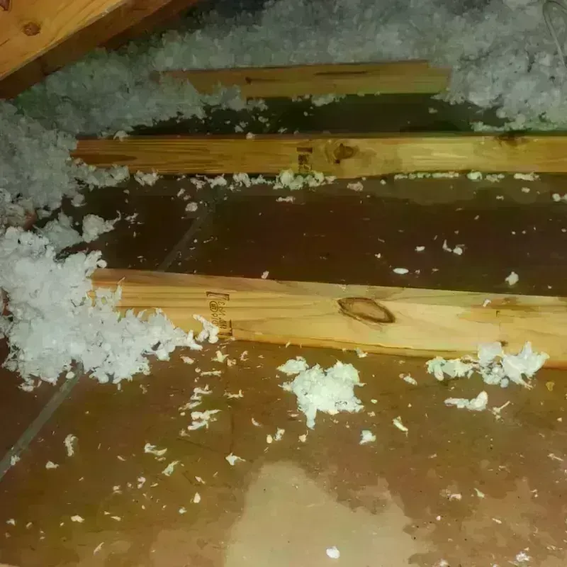 Attic Water Damage in Clay County, IL