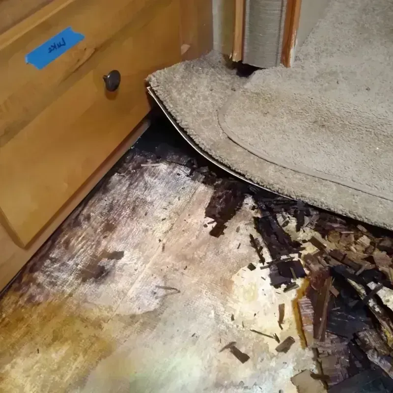 Wood Floor Water Damage in Clay County, IL